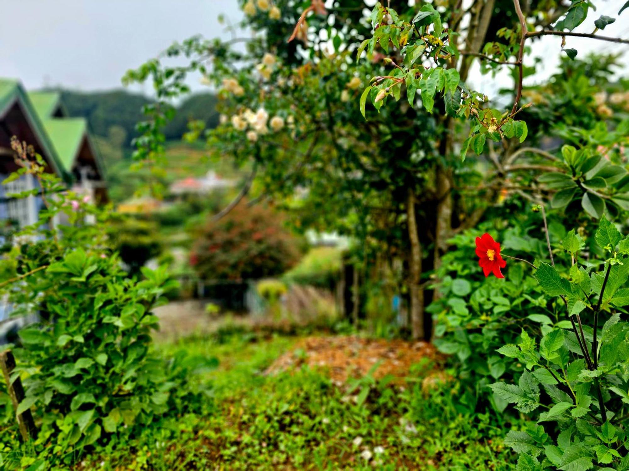 Hostel Haven Backpackers Nuwara Eliya Zewnętrze zdjęcie