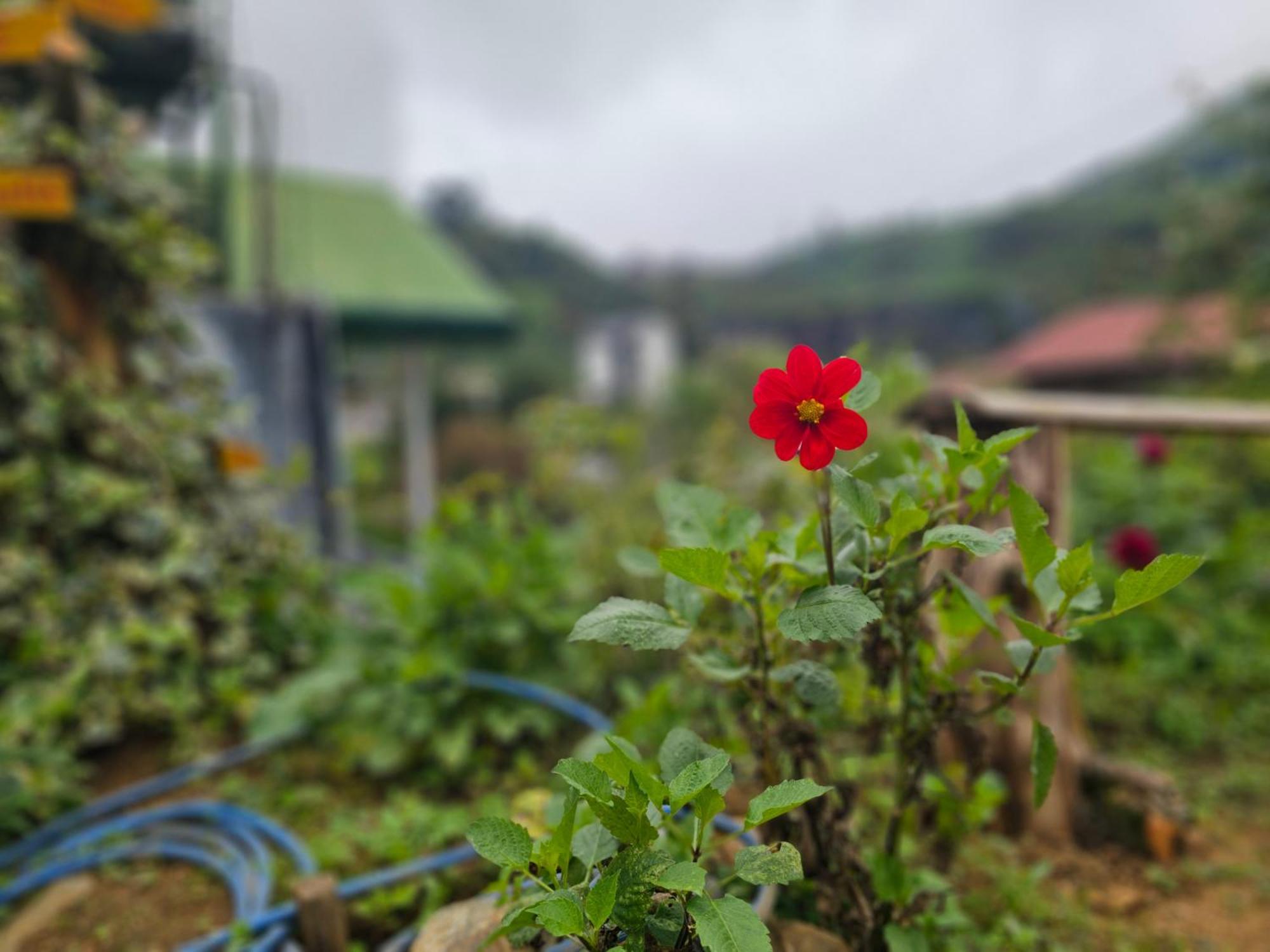 Hostel Haven Backpackers Nuwara Eliya Zewnętrze zdjęcie